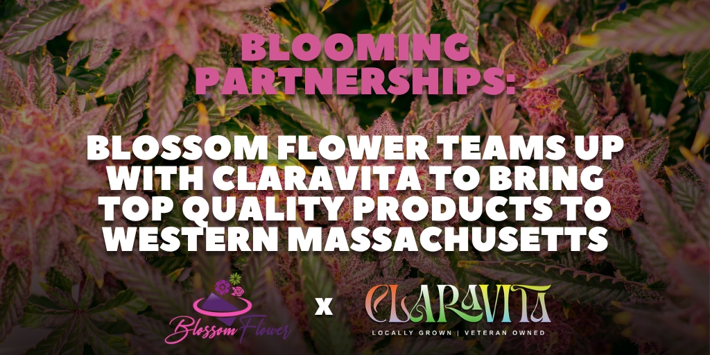 Blooming Partnerships: Blossom Flower Teams Up with Claravita